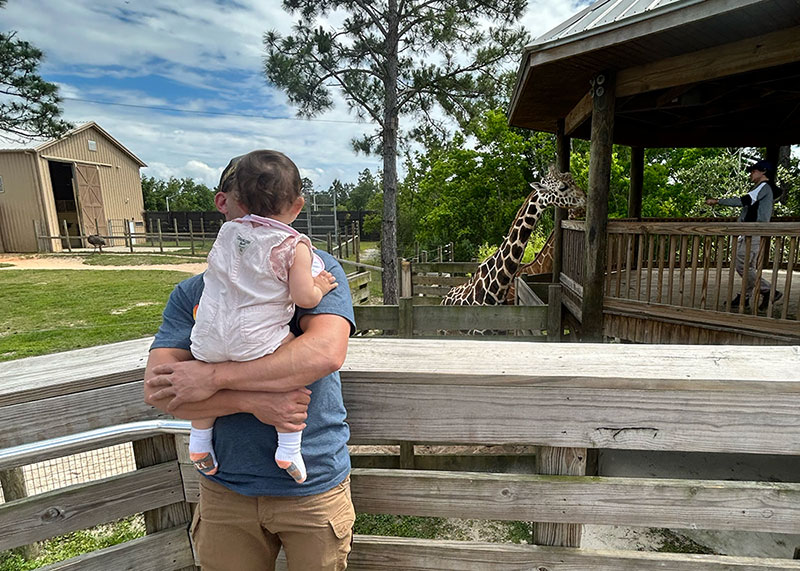 Giraffe's at Gulf Coast Zoo