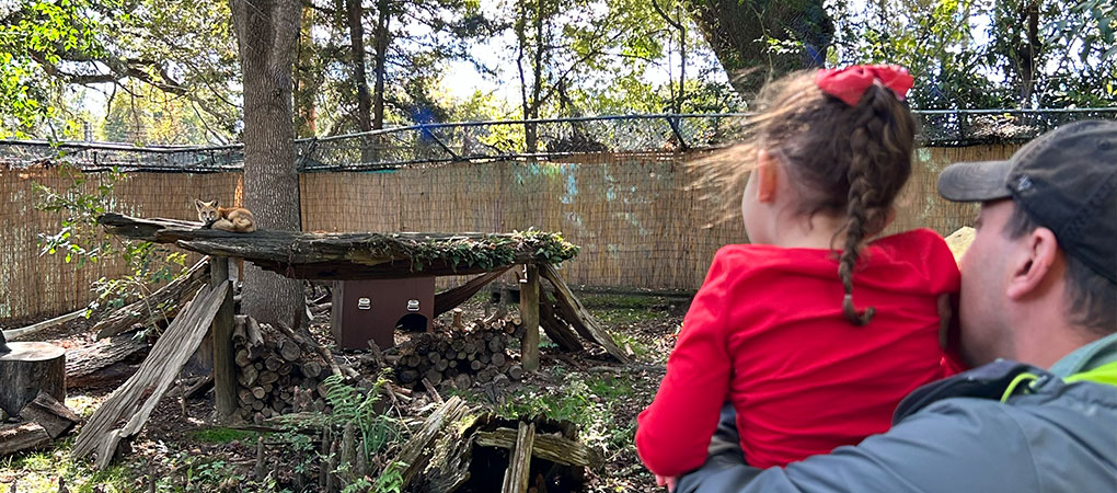 Day Trips: Visiting Audubon Zoo with a Toddler: Tips, Favorites & What to Expect