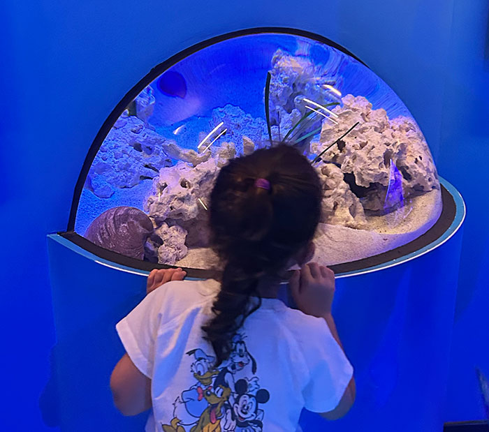 Mississippi Aquarium